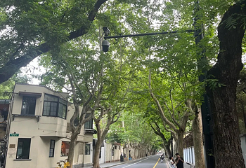 武康路第 86 张图片