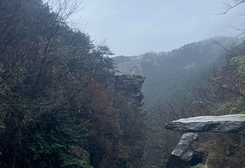 庐山风景名胜区第 178 张图片