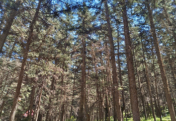 贺兰山广宗寺（南寺）生态旅游区第 63 张图片