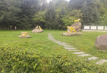 横道河子东北虎林园第 41 张图片