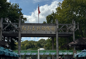 红山森林动物园第 41 张图片