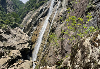 大鄣山卧龙谷第 27 张图片