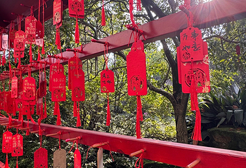 武侯祠第 151 张图片