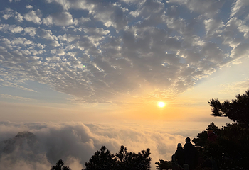 黄山风景区第 298 张图片