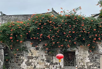 山塘街第 139 张图片