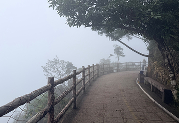 莽山五指峰景区第 158 张图片