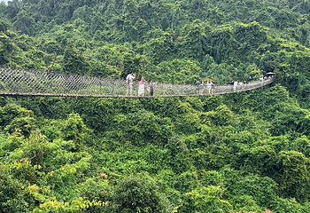 亚龙湾热带天堂森林公园第 209 张图片