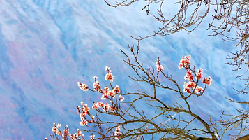 塔什库尔干Kukosilu帐篷营地