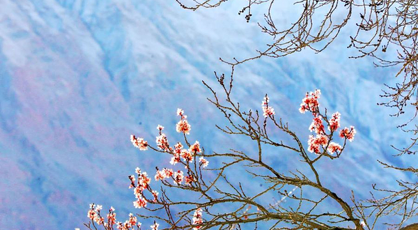 塔什库尔干Kukosilu帐篷营地