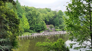 楠木湾亲水平台