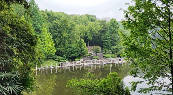 楠木湾亲水平台