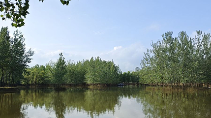 涛沟河风景区第 1 张图片