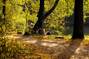 一只蚂蚁文化休闲公园