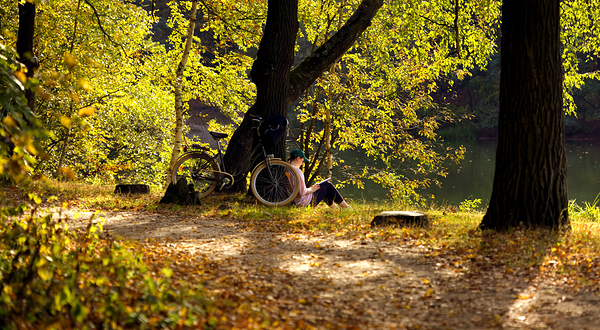一只蚂蚁文化休闲公园