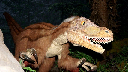 Kitakyushu Museum of Natural History & Human History第 15 张图片