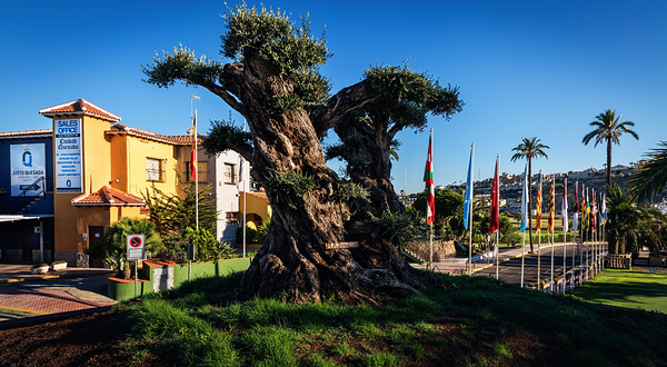 La Marquesa Golf