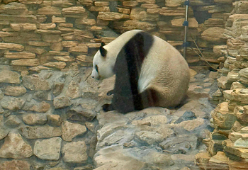 长屿硐天第 28 张图片