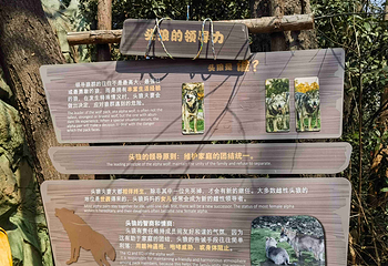 红山森林动物园第 79 张图片