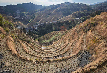 龙脊梯田第 103 张图片