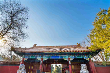 景山公园第 20 张图片