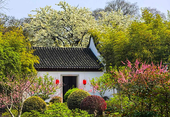 上海大观园第 37 张图片