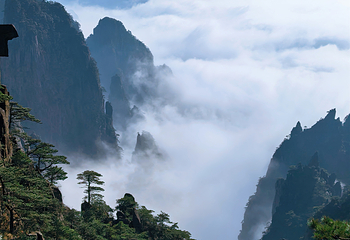 黄山风景区第 266 张图片