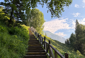 禾木风景区第 198 张图片