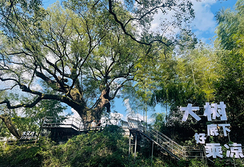 芹川古村第 17 张图片