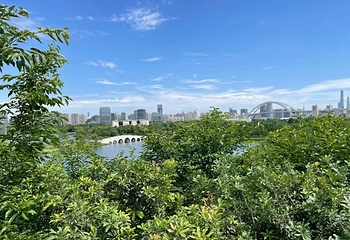 世博文化公园第 40 张图片