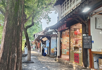 朱家角古镇景区第 177 张图片