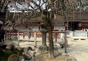 太宰府天满宫第 21 张图片