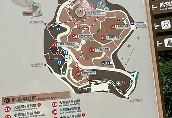 成都大熊猫繁育研究基地第 787 张图片