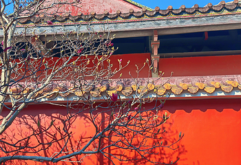 泉州开元寺第 56 张图片
