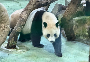 台北市立动物园第 15 张图片