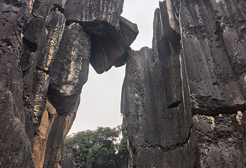 石林风景区第 270 张图片