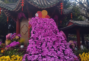 佛山市祖庙博物馆第 93 张图片
