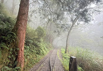 太平山森林游乐区第 14 张图片