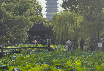 拙政园第 350 张图片