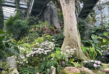 上海温室花园第 206 张图片