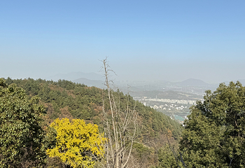 穹窿山景区第 108 张图片