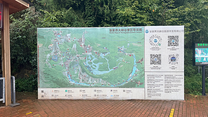 张家界大峡谷第 117 张图片