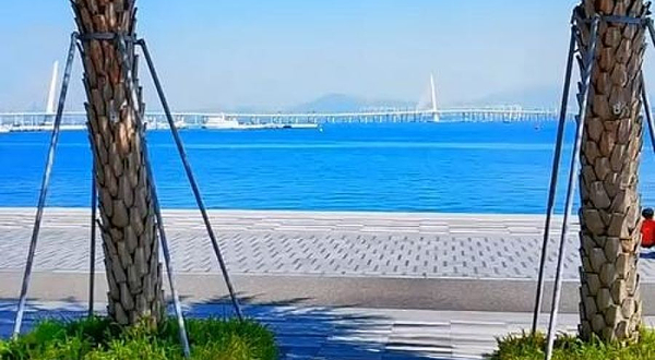 深圳湾公园-D区