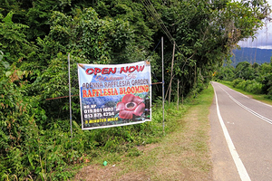 Adenna Rafflesia Garden