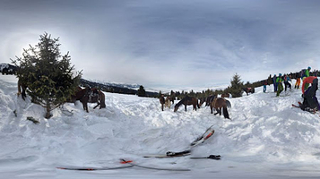Novovoznesenovka Mosque