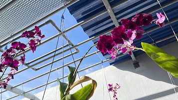 Thành Phố Bạc Liêu