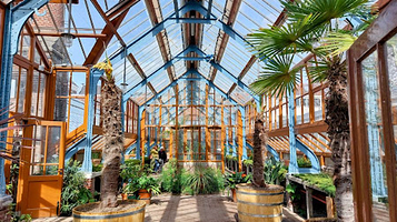 乌得勒支大学博物馆