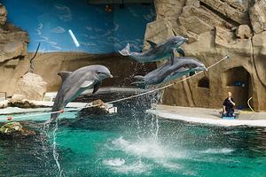 杜伊斯堡动物园