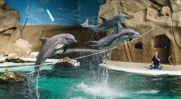 杜伊斯堡动物园