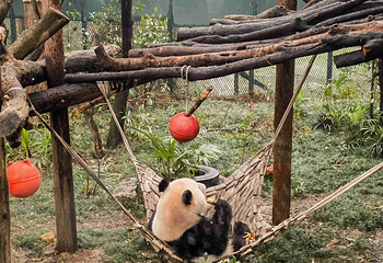 上海动物园第 72 张图片