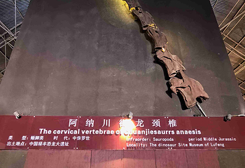 世界恐龙谷第 64 张图片